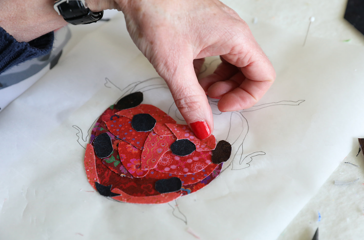 The Ladybug Kit