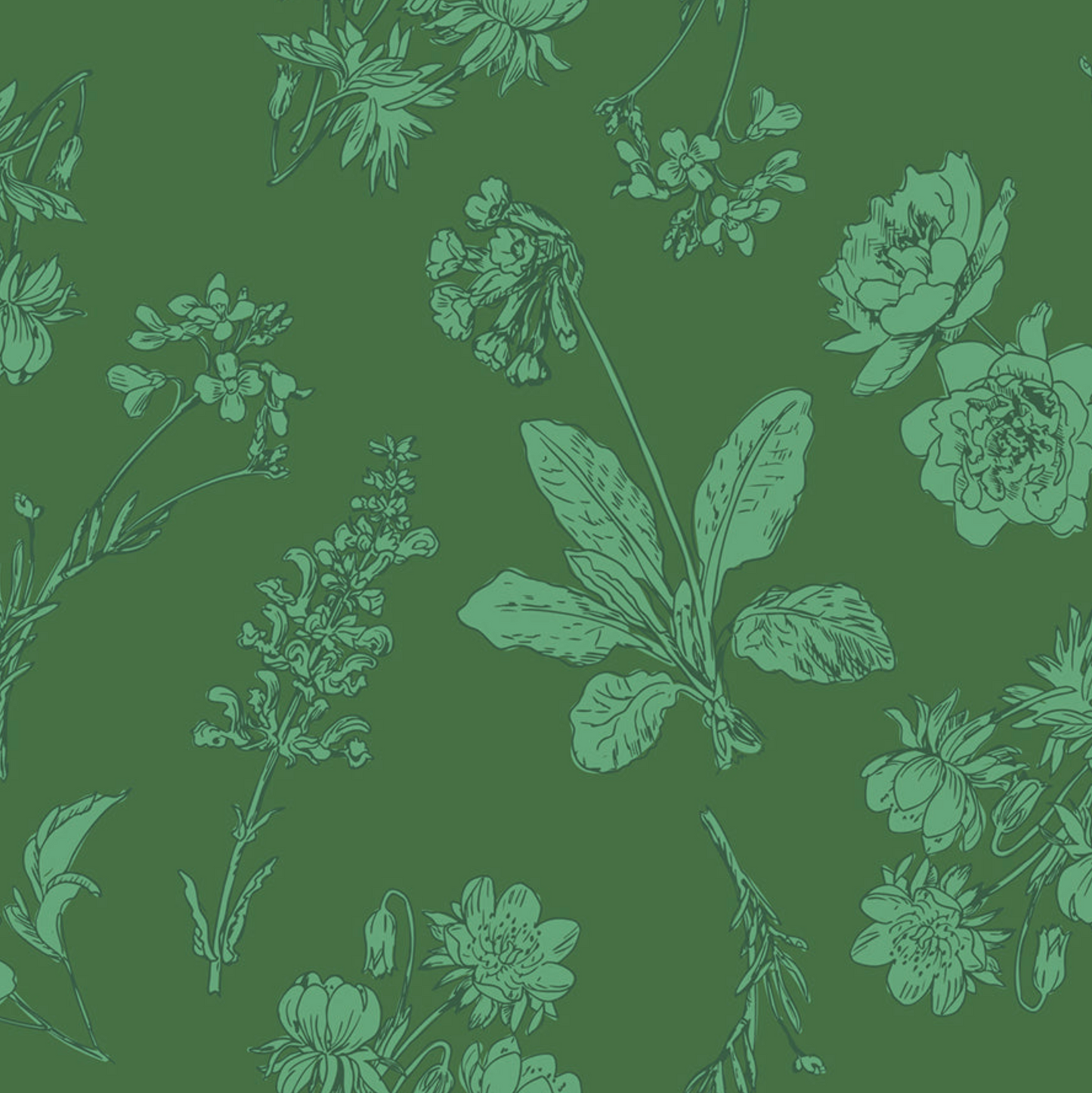 Garden Sketch