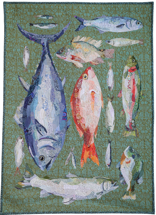 Catch of the Day