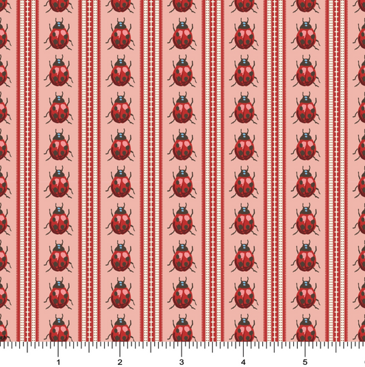 Ladybugs in Line