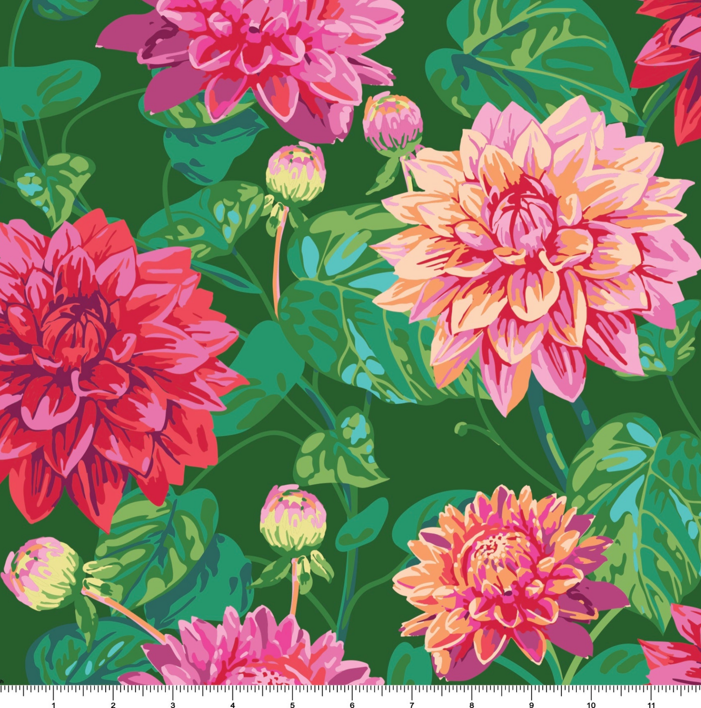 Dahlia