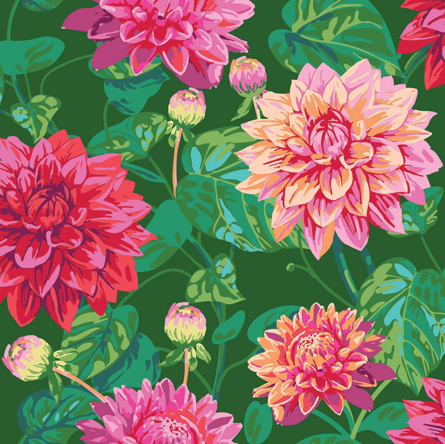 Dahlia